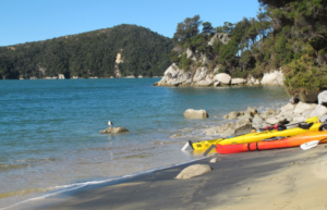 Best Spots for Kayaking